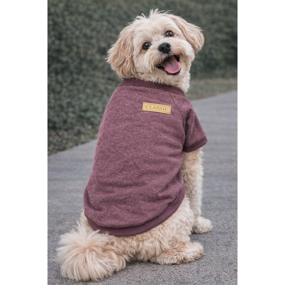 Classic Dog Sweatshirt Burgundy Heather Raglan Pet Pullover Size XL‎ Winter NEW